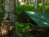 Шоу о выживании в диких условиях снова в моде